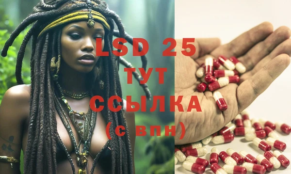 ECSTASY Аркадак