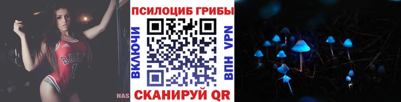 Псилоцибиновые грибы MAGIC MUSHROOMS  наркошоп  Сарапул 